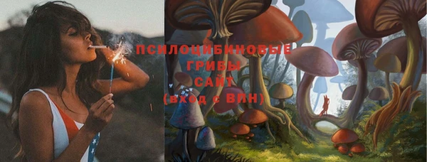 PSILOCYBIN Михайловск
