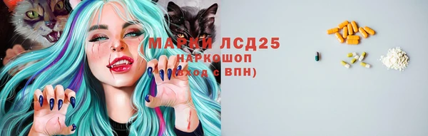 PSILOCYBIN Михайловск