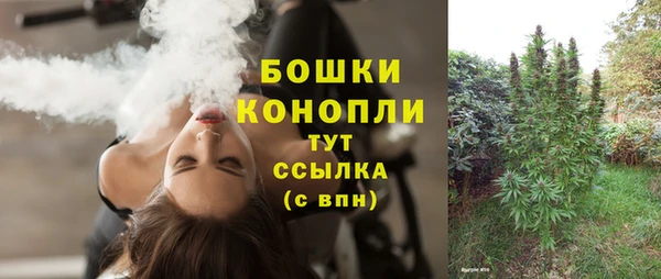 PSILOCYBIN Михайловск