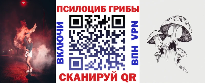 kraken маркетплейс Торжок Псилоцибиновые грибы Cubensis